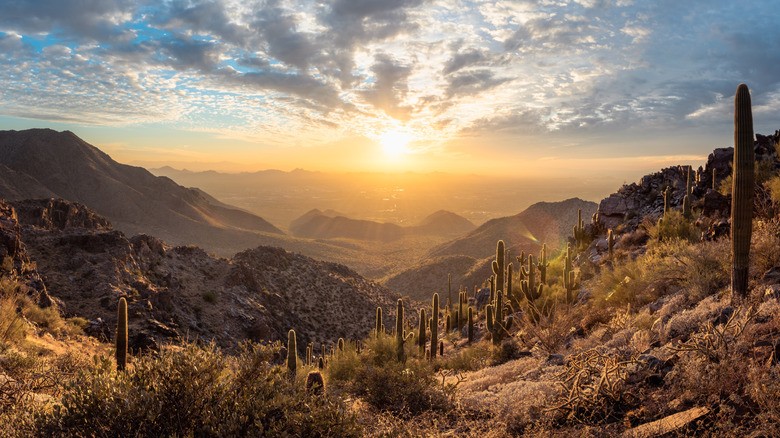 Sonoran Desert scenery in Scottsdale's McDowell Sonoran Preserve